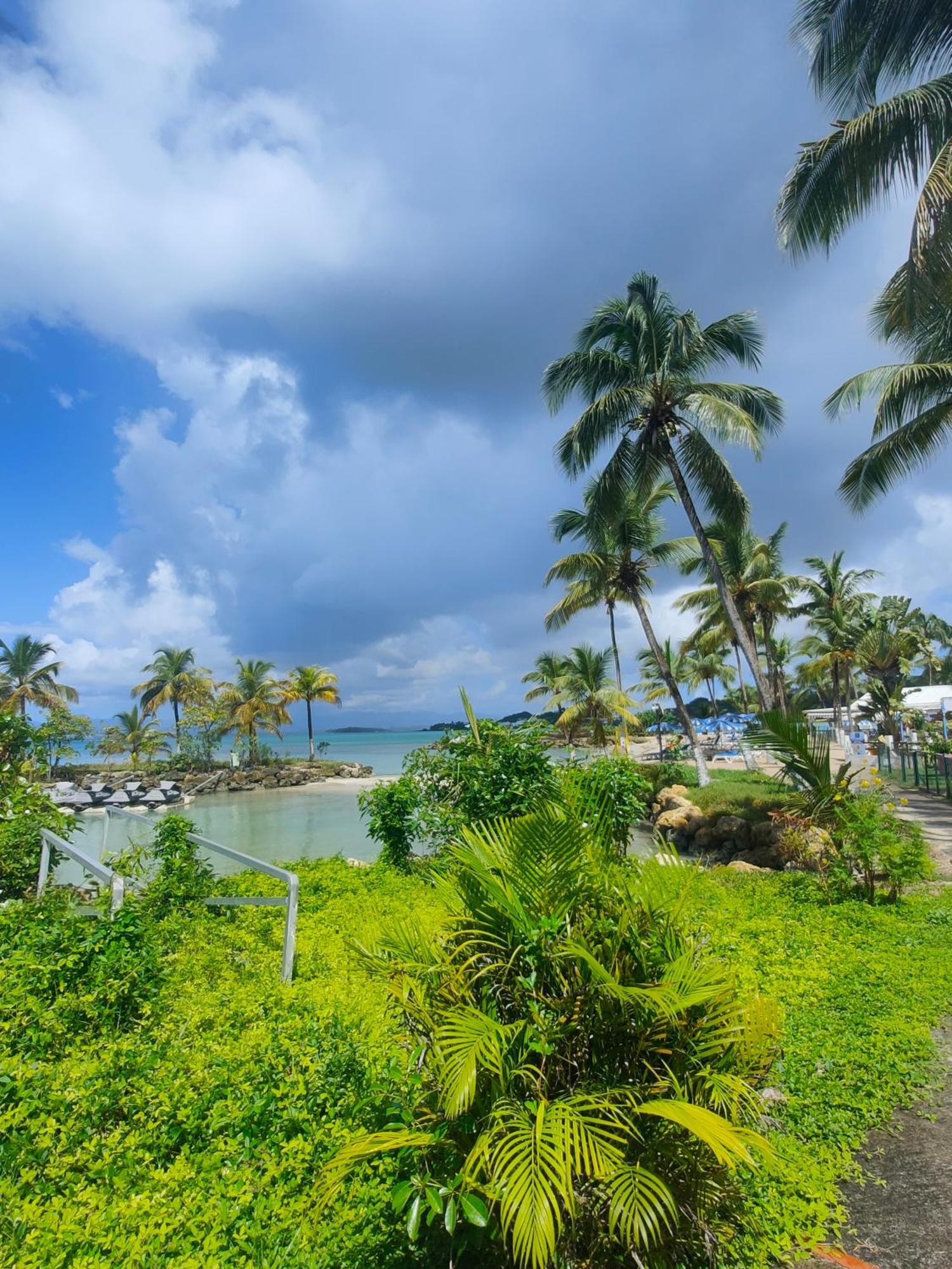 Studio Vue Mer, Pieds Dans L'Eau Le Gosier  Exterior foto